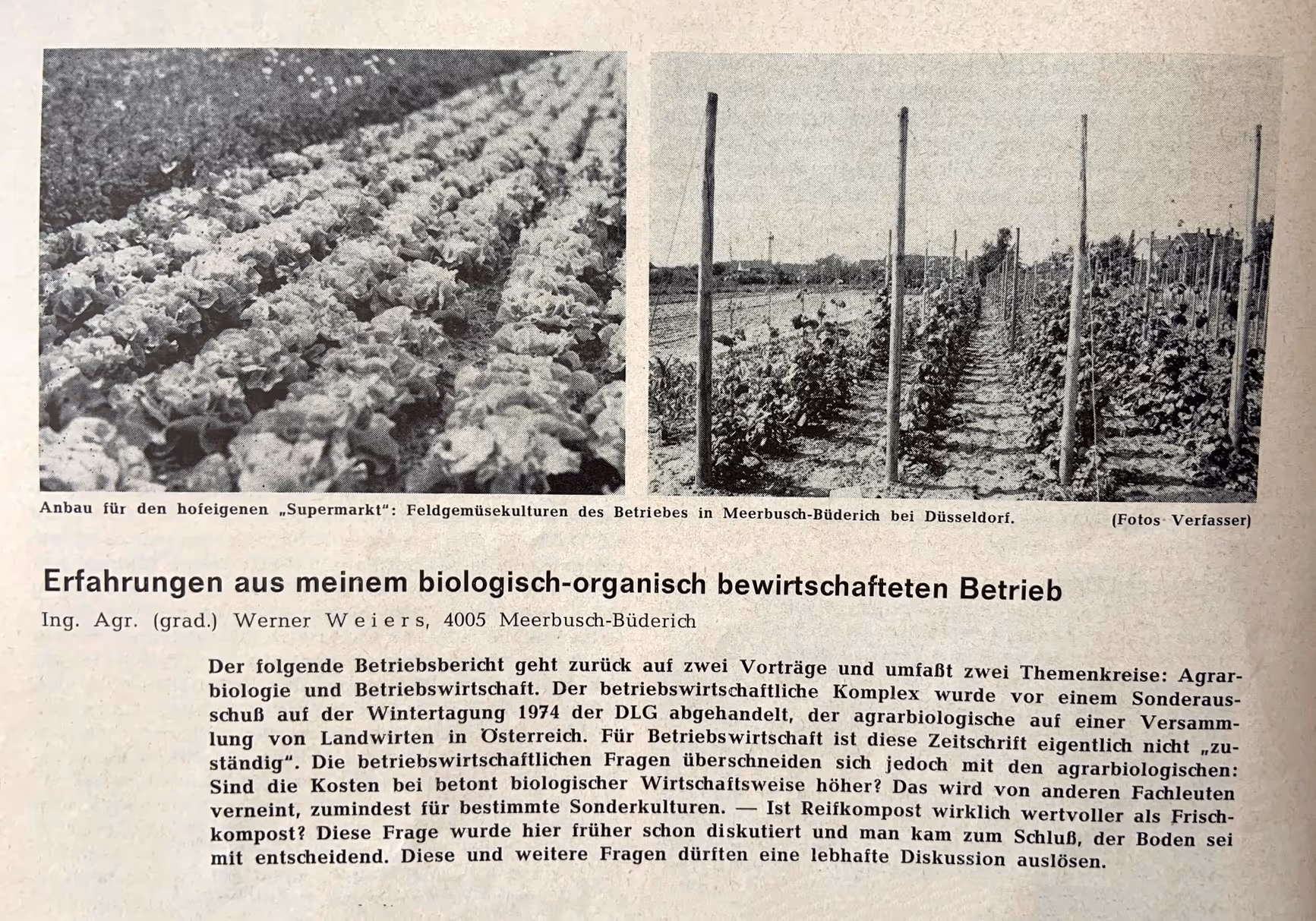 Zwei schwarz-weiße Fotos zeigen Feldgemüsekulturen eines Betriebs in Meerbusch-Büderich bei Düsseldorf, links Reihen von Salatpflanzen, rechts mit Pfosten gestützte Gemüsepflanzen.